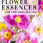 how to make flower essences 