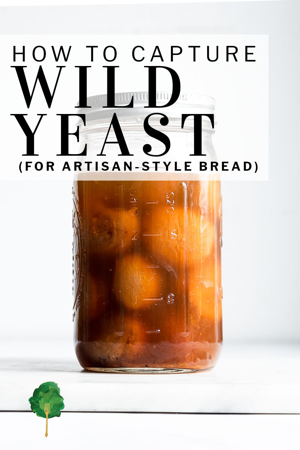 Capturing Wild Yeast Yeast Water Nourished Kitchen capturing-wild-yeast-yeast-water-nourished-kitchen