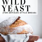 Pinterest pin wild yeast bread