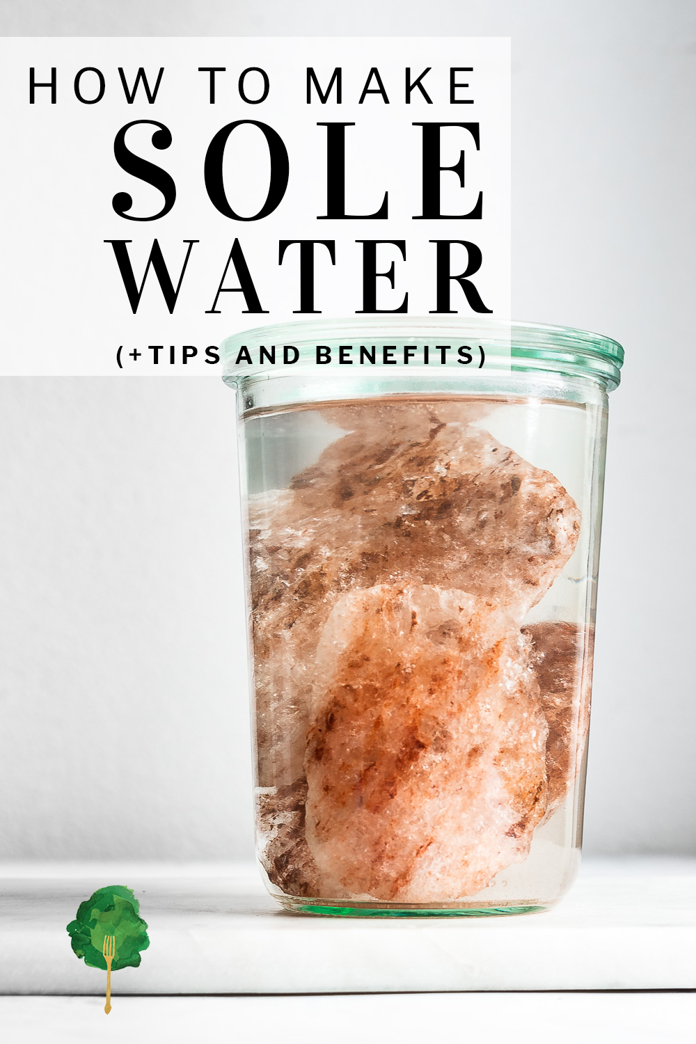 How to Make Sole Water Nourished Kitchen