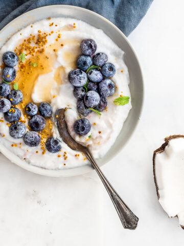 homemade coconut yogurt with blueberries and cinnamon