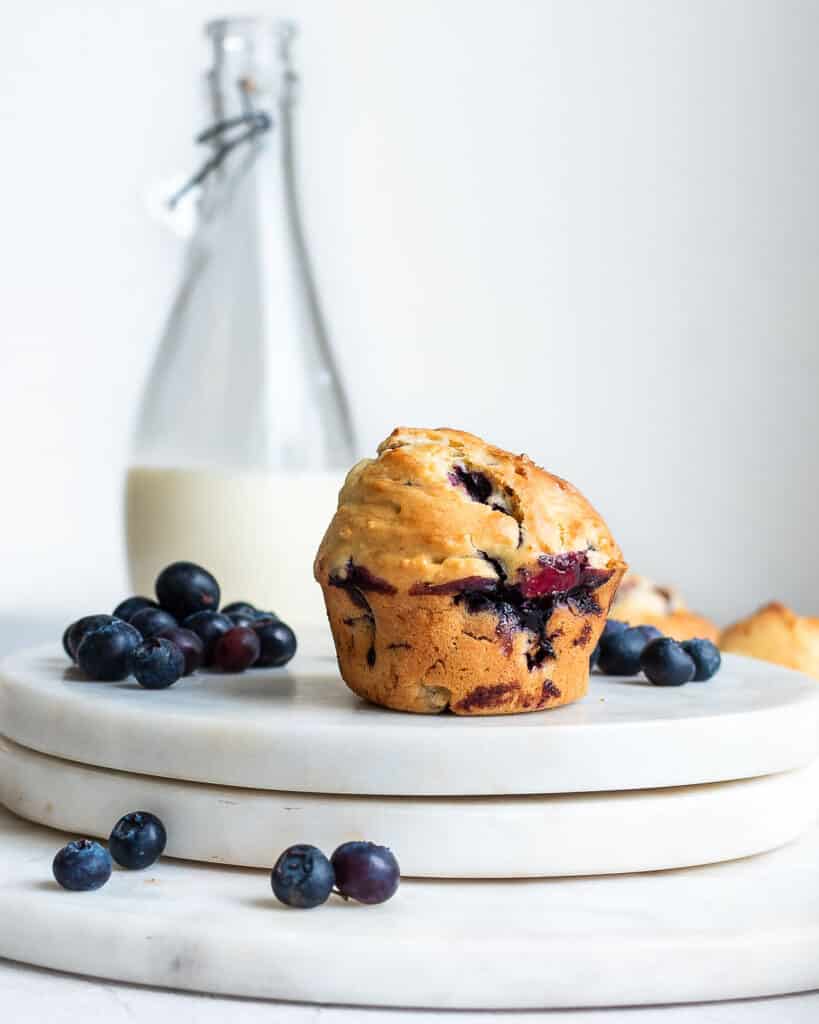 Einkorn blueberry muffins on white surface with blueberries and milk in the background