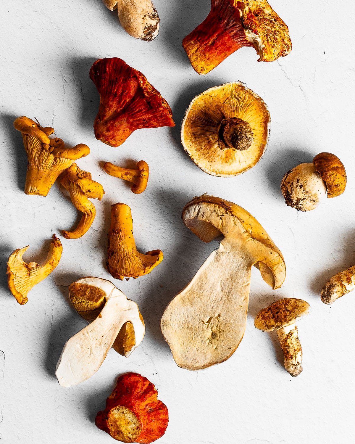 Wild Mushrooms (Porcini, Chanterelle, Lobster and Pine Mushrooms) on a white plaster surface