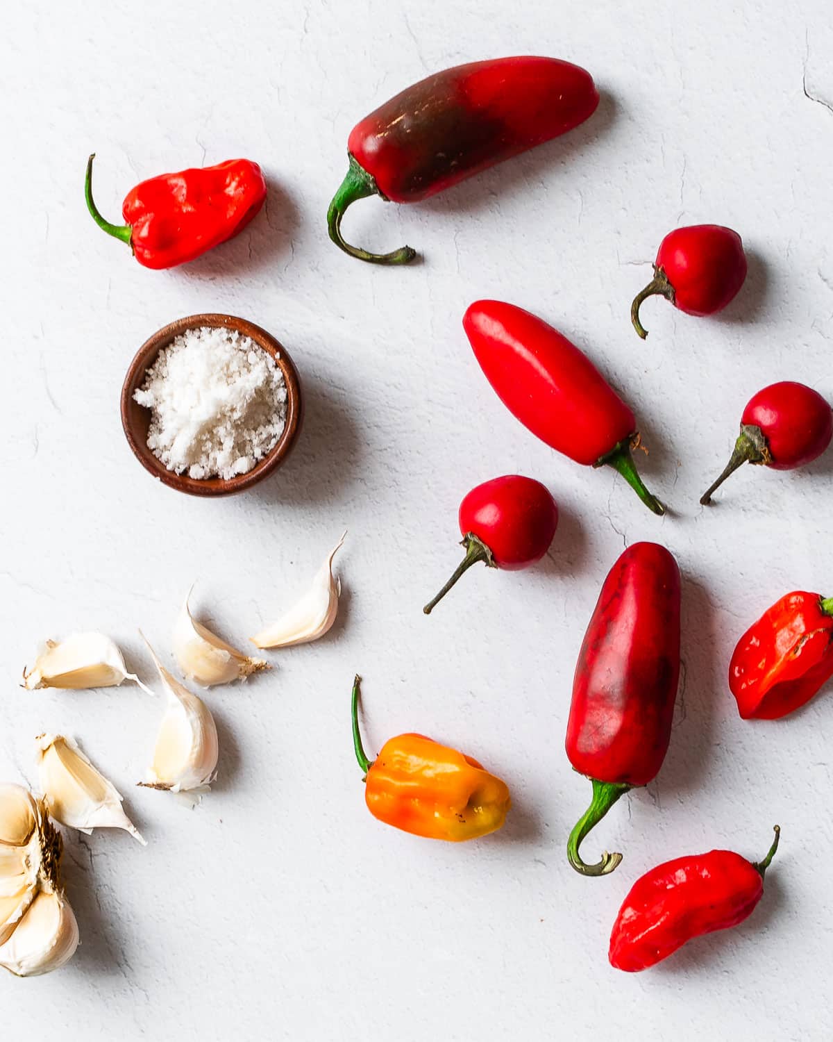 Ingredients for fermented pepper mash: garlic, salt in a small bowl, and a variety of hot peppers on a white surface