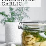 fermented garlic pinterest pin