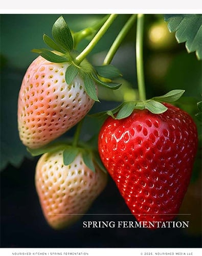 spring ferments