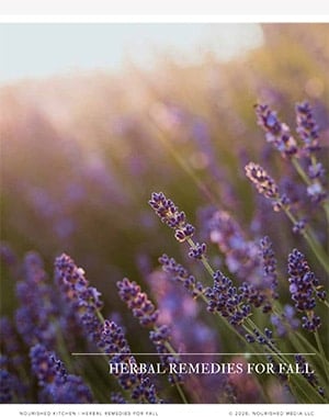 Fall remedies workshop cover